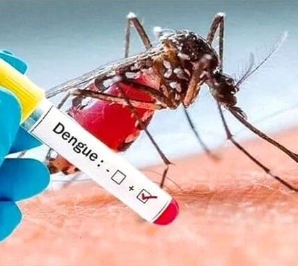 Dengue