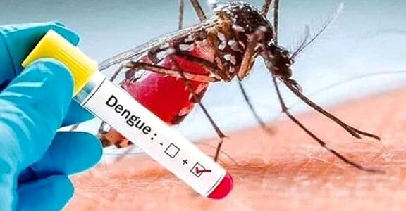 Dengue