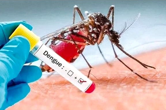 Dengue